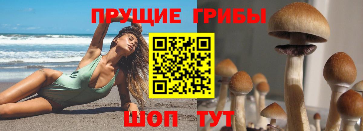 Псилоцибиновые грибы MAGIC MUSHROOMS  Вход с VPN  Гагарин 